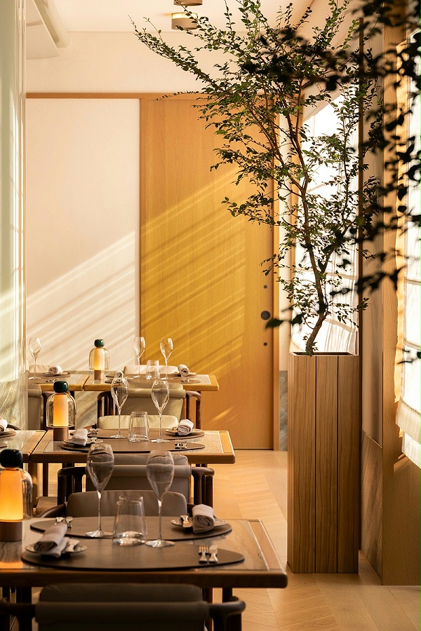 艺加设计-酒店设计-Capella Kyoto 酒店：关于建筑学的表达