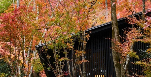 艺加酒店设计为您分享京都阿曼酒店设计观点