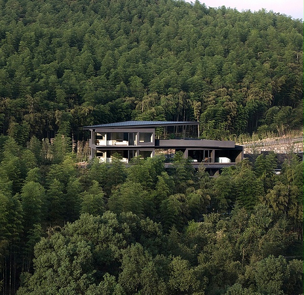 艺加设计-酒店设计-林中酒店：竹林里的黑房子
